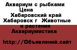 Аквариум с рыбками › Цена ­ 15 000 - Хабаровский край, Хабаровск г. Животные и растения » Аквариумистика   